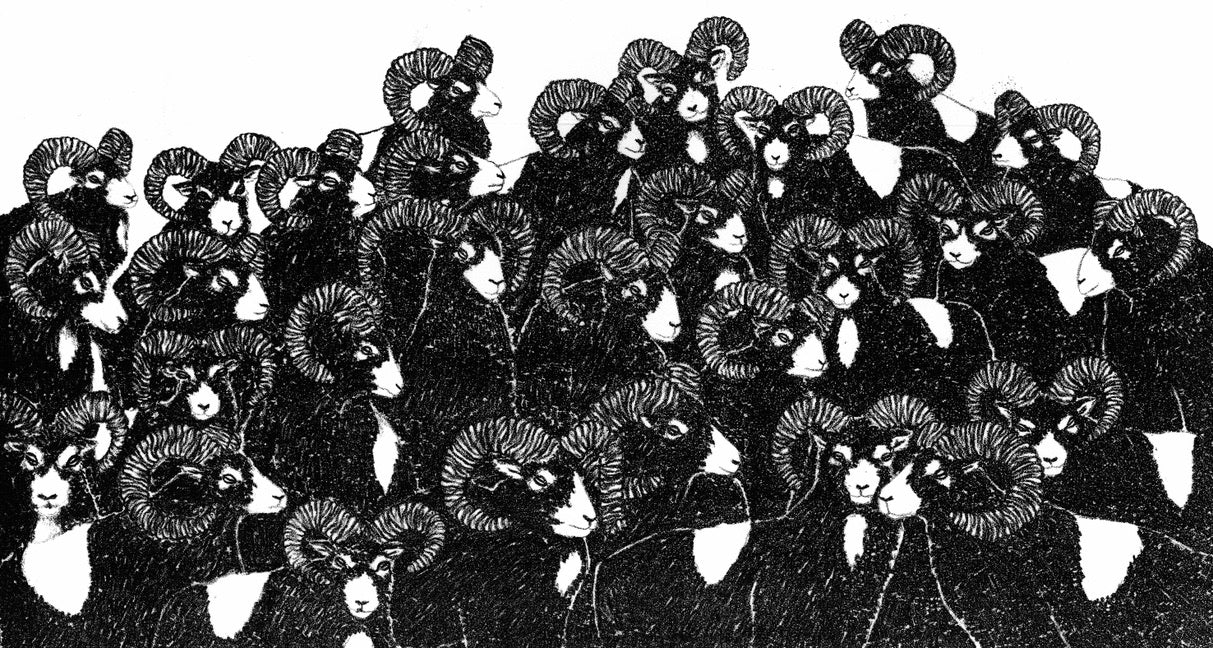 Le troupeau