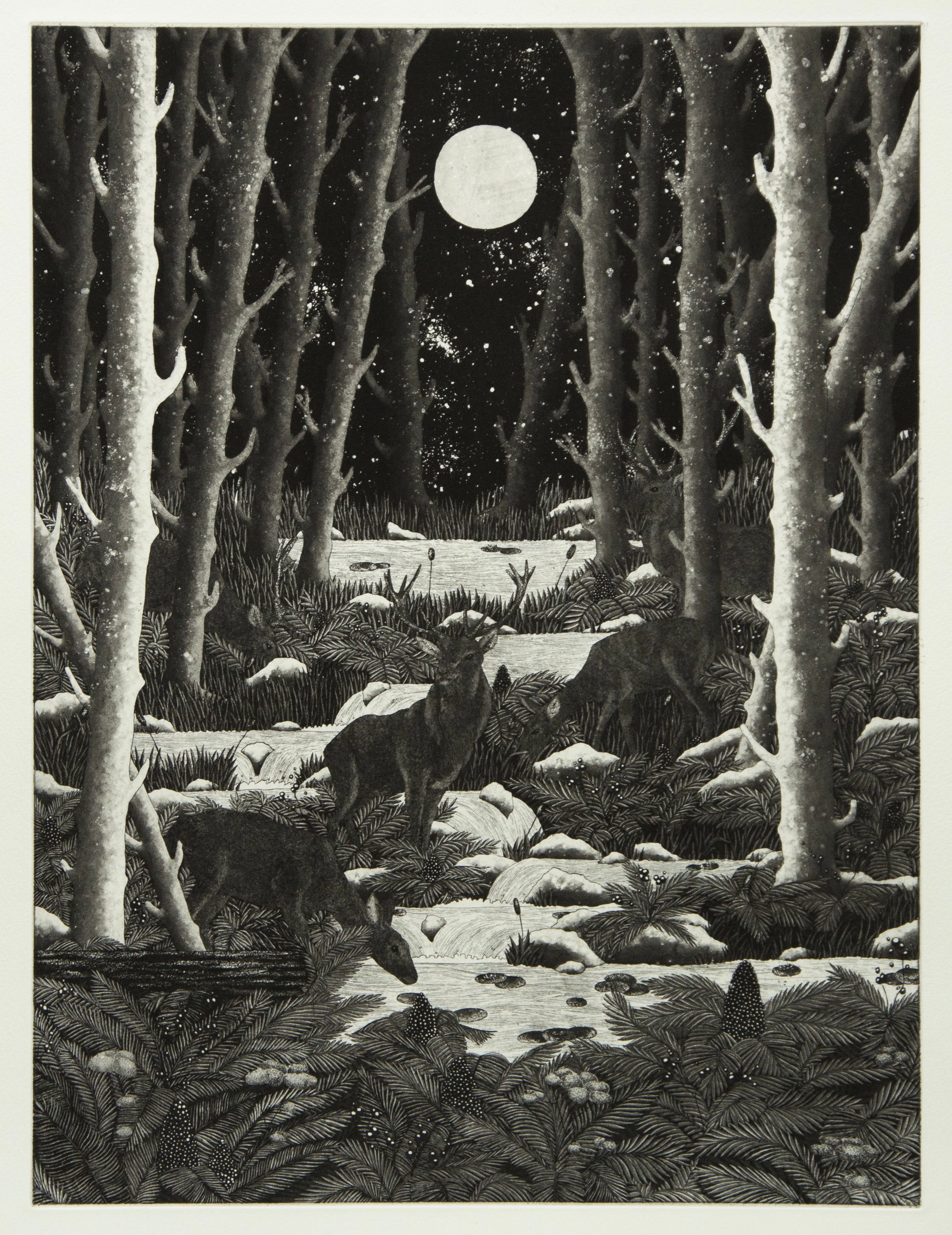 La nuit
