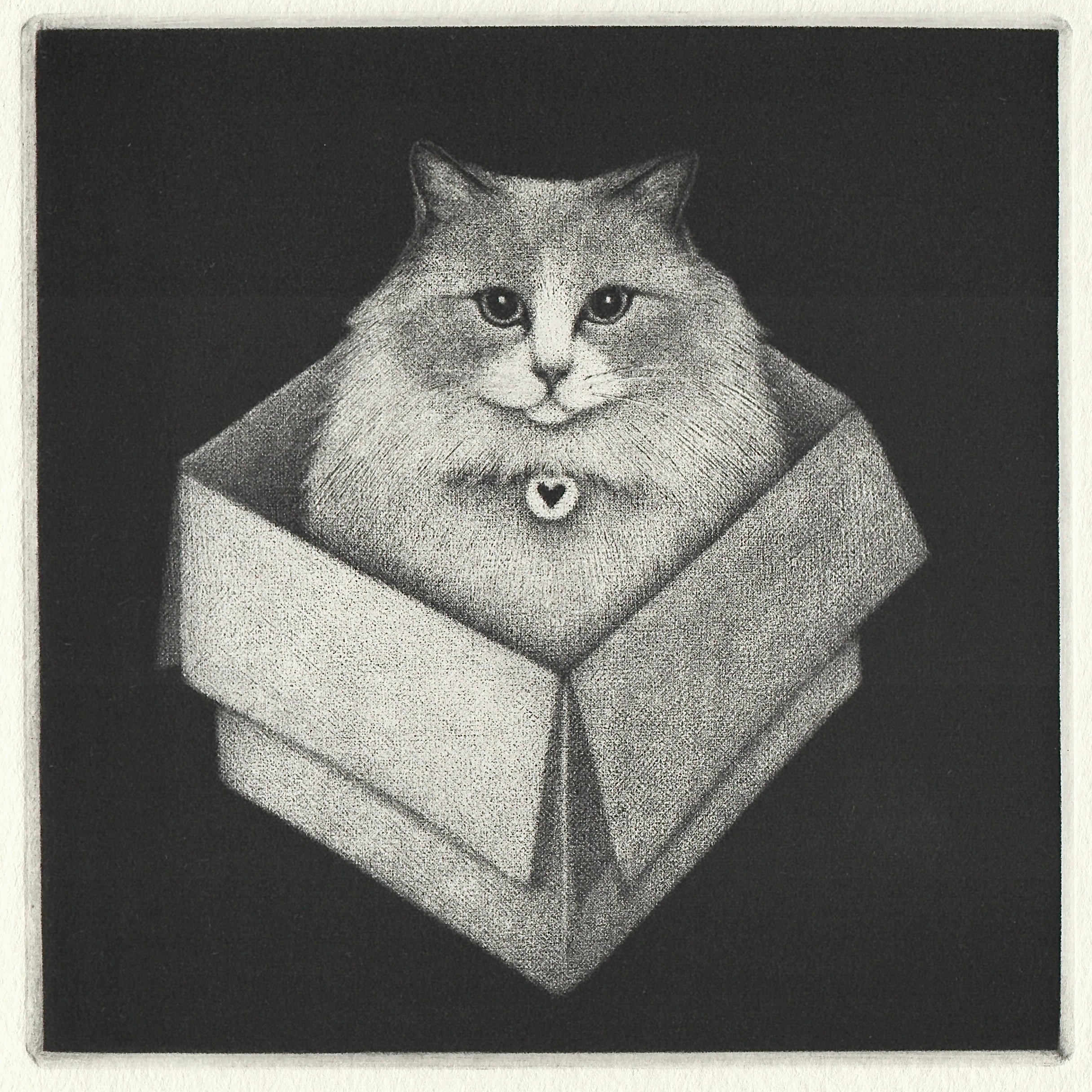 My box, not yours