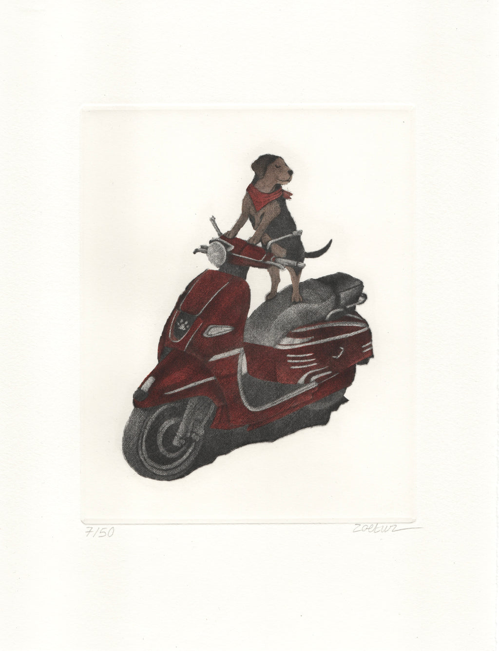 Vroum Vroum (Édition couleur)