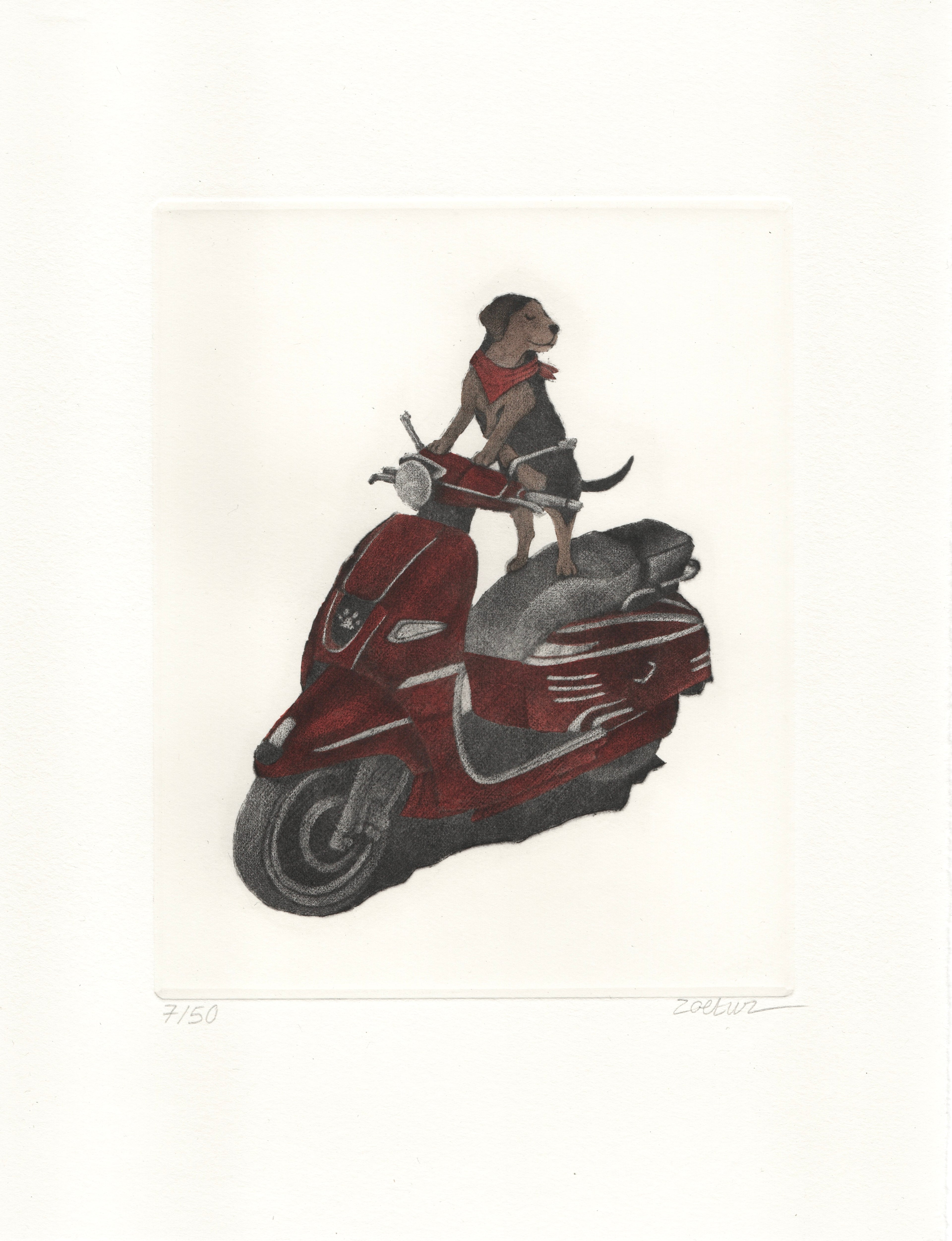 Vroum Vroum (Édition couleur)