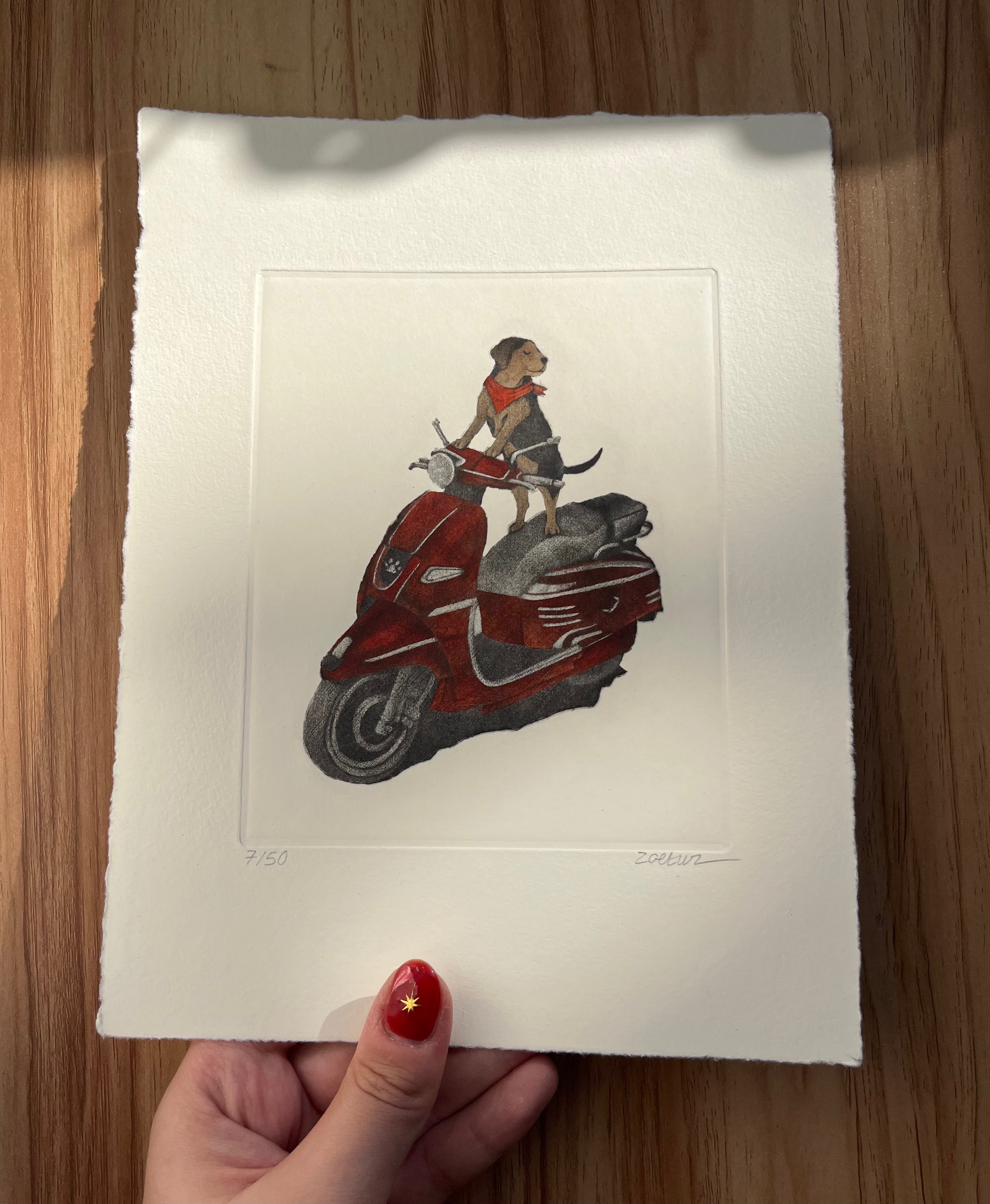 Vroum Vroum (Édition couleur)