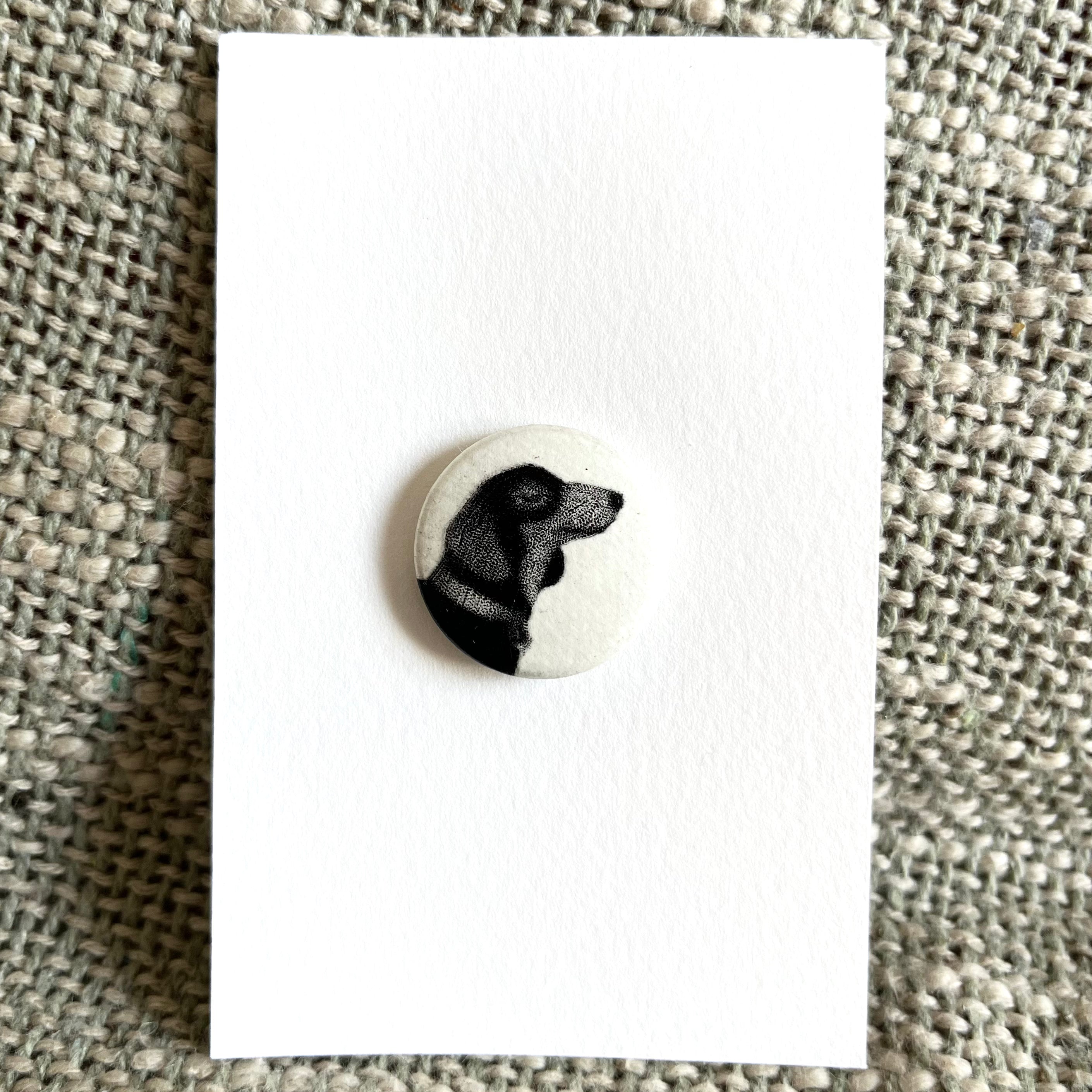 BADGE Teckel