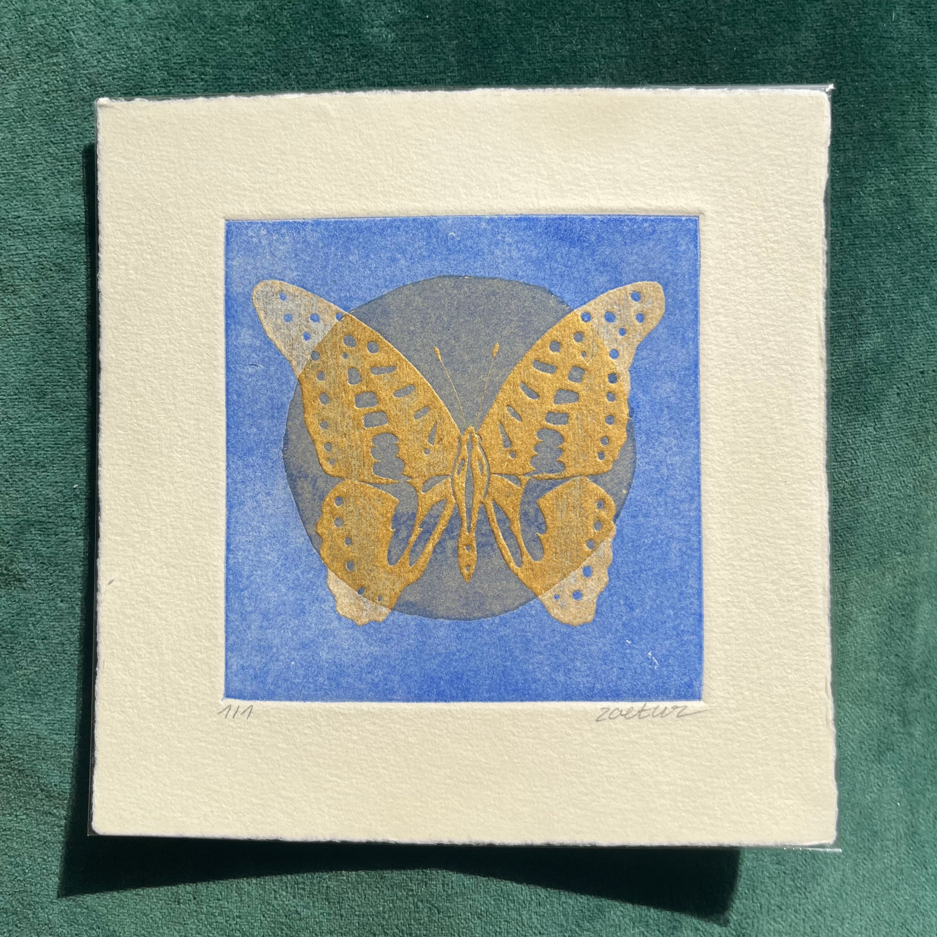 Papillon 1