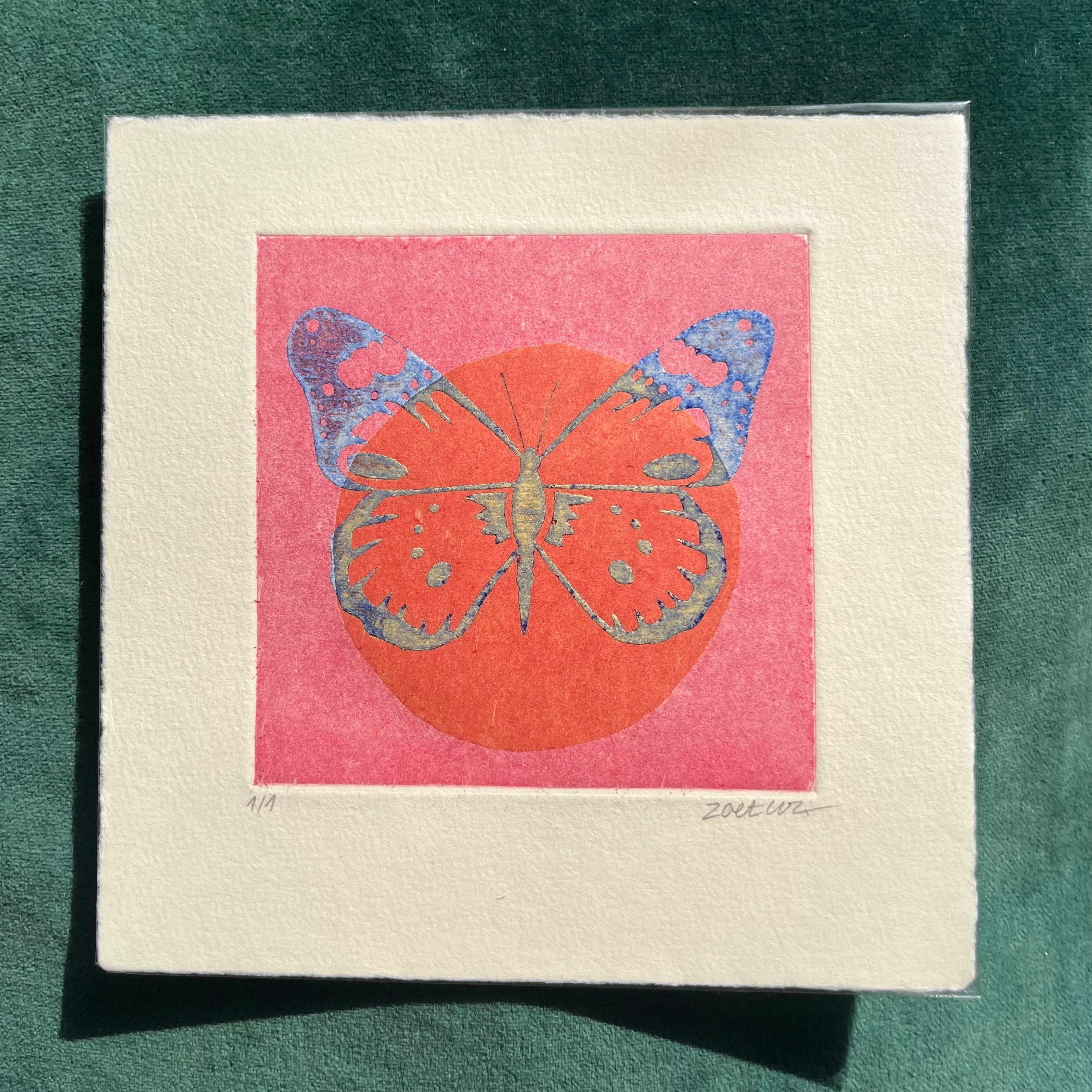 Papillon 6