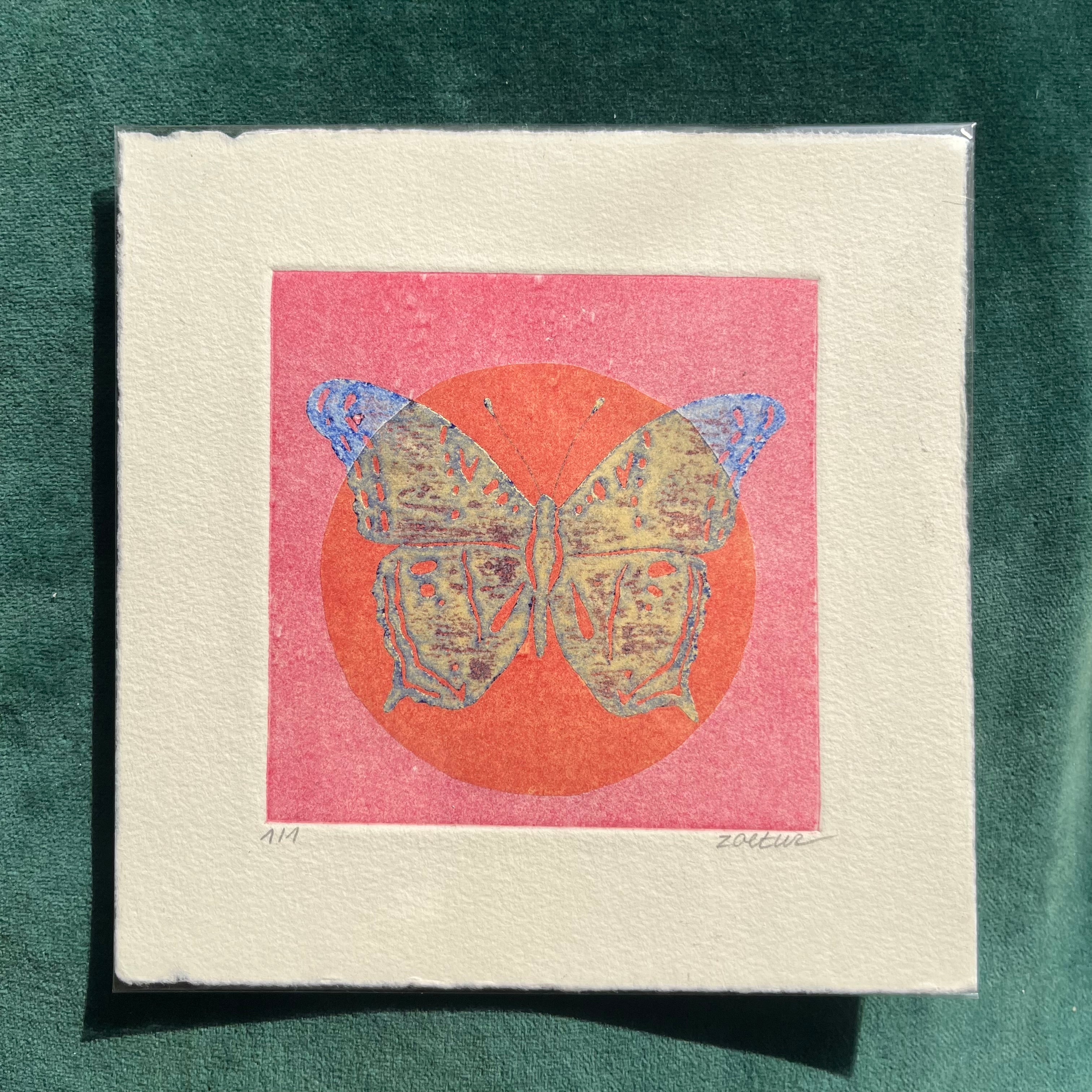 Papillon 9