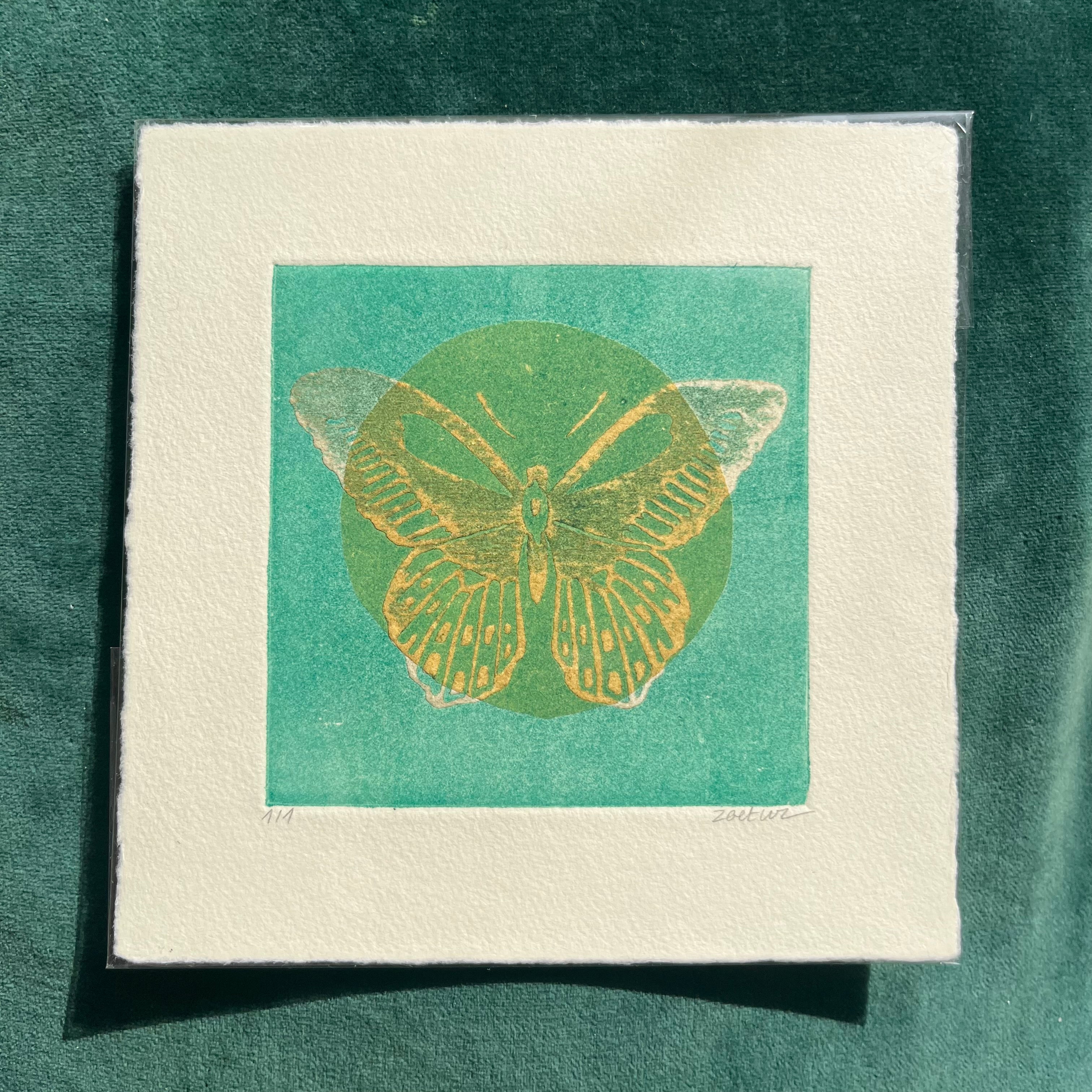 Papillon 10
