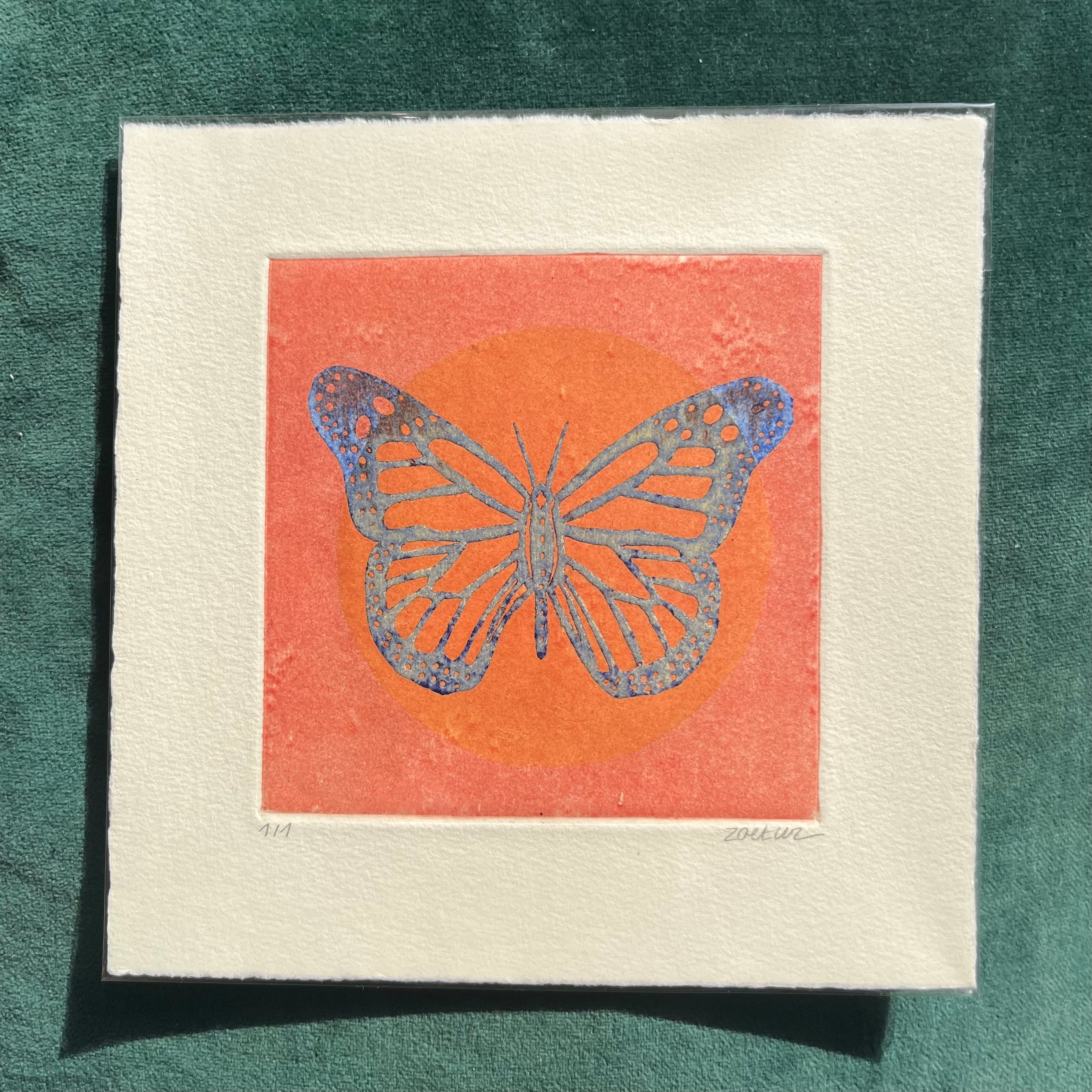 Papillon 12