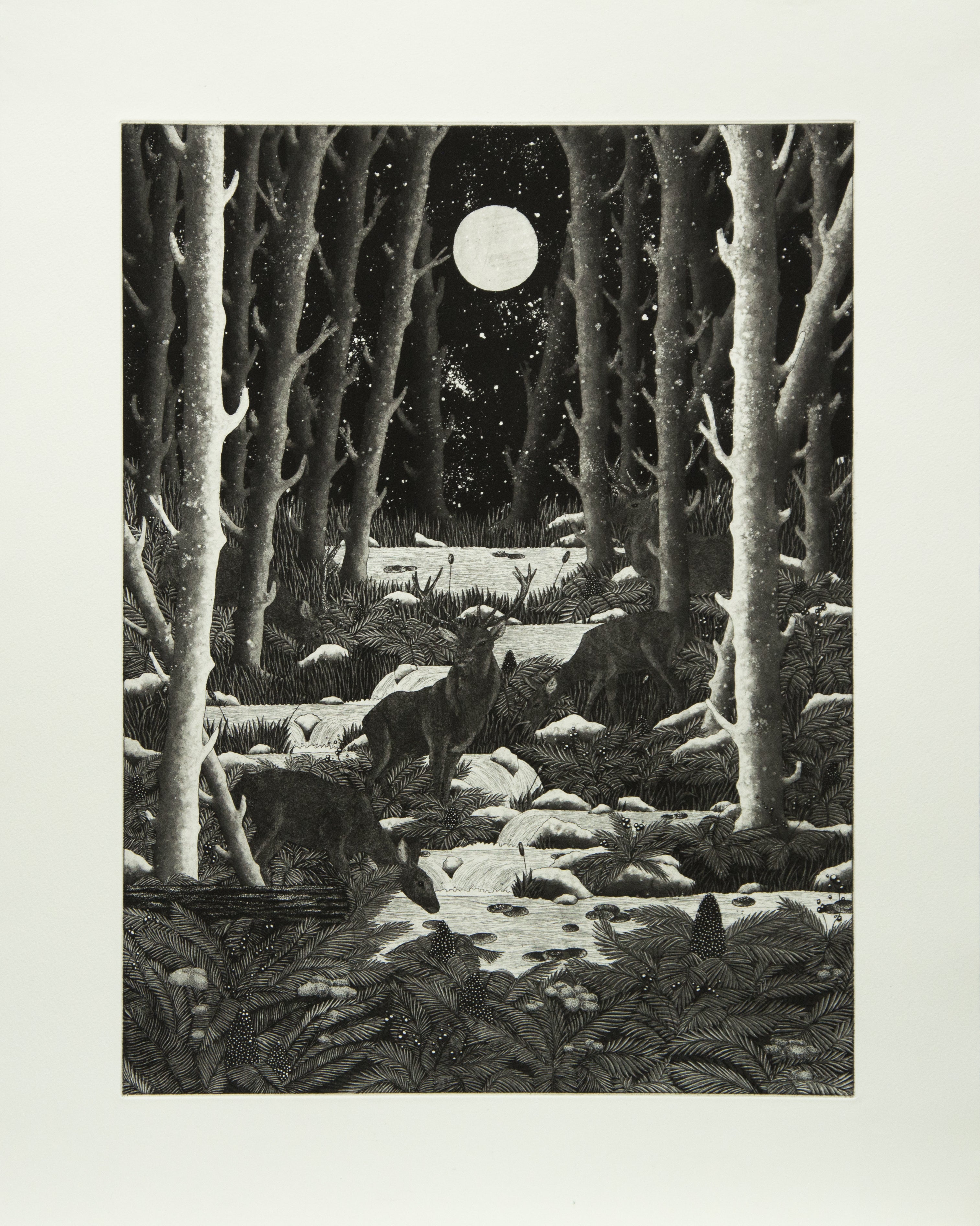 La nuit